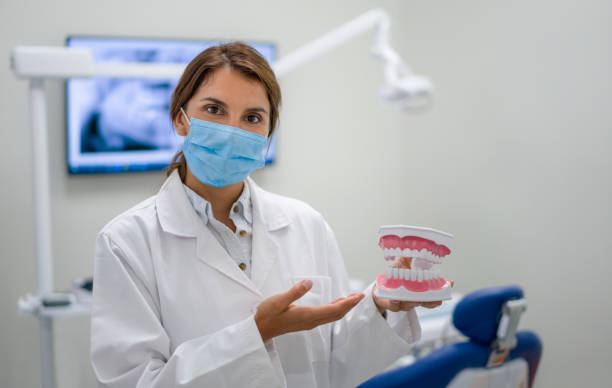 Best Mobile Emergency Dentist in Elfers, FL